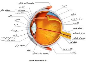 طرح جابر بن حیان چشم و ساختار آن ساختمان-چشم